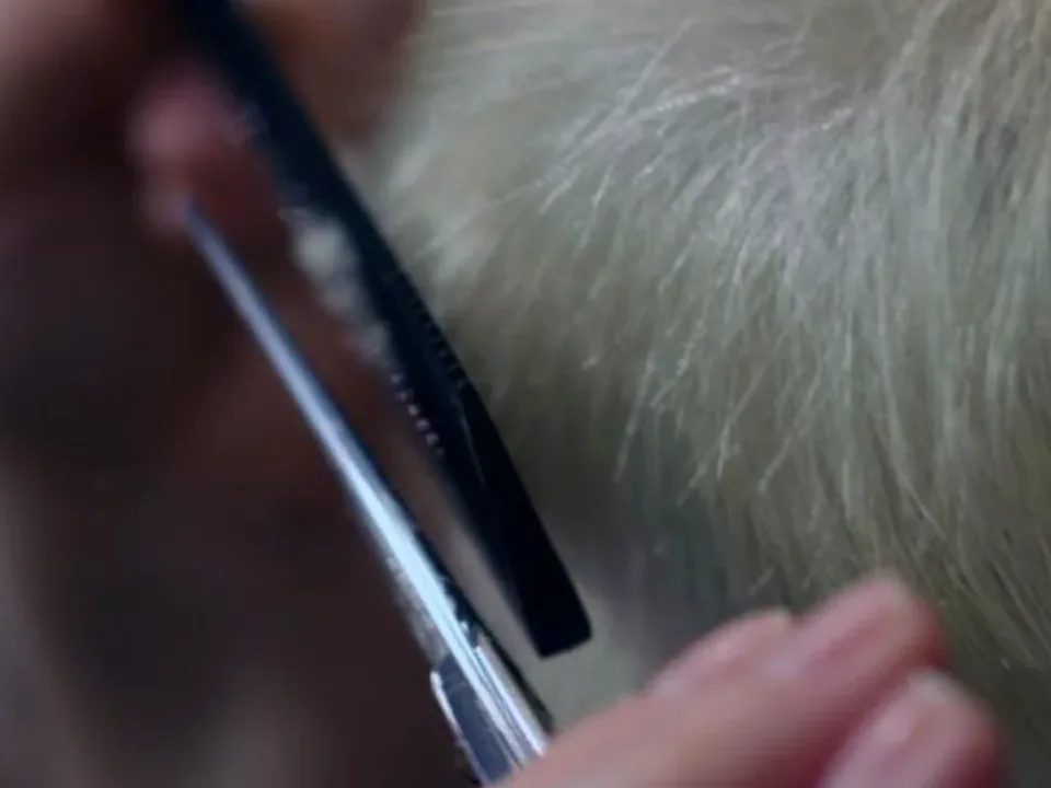 Cosmetics GMP Compliance Auditing