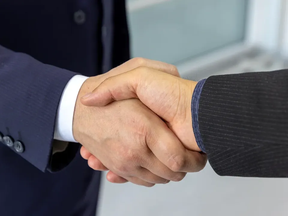 Operational Due Diligence and Business Expansion Advisory