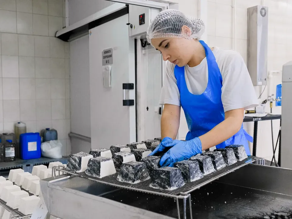 Supplier Quality Performance Trend Analysis