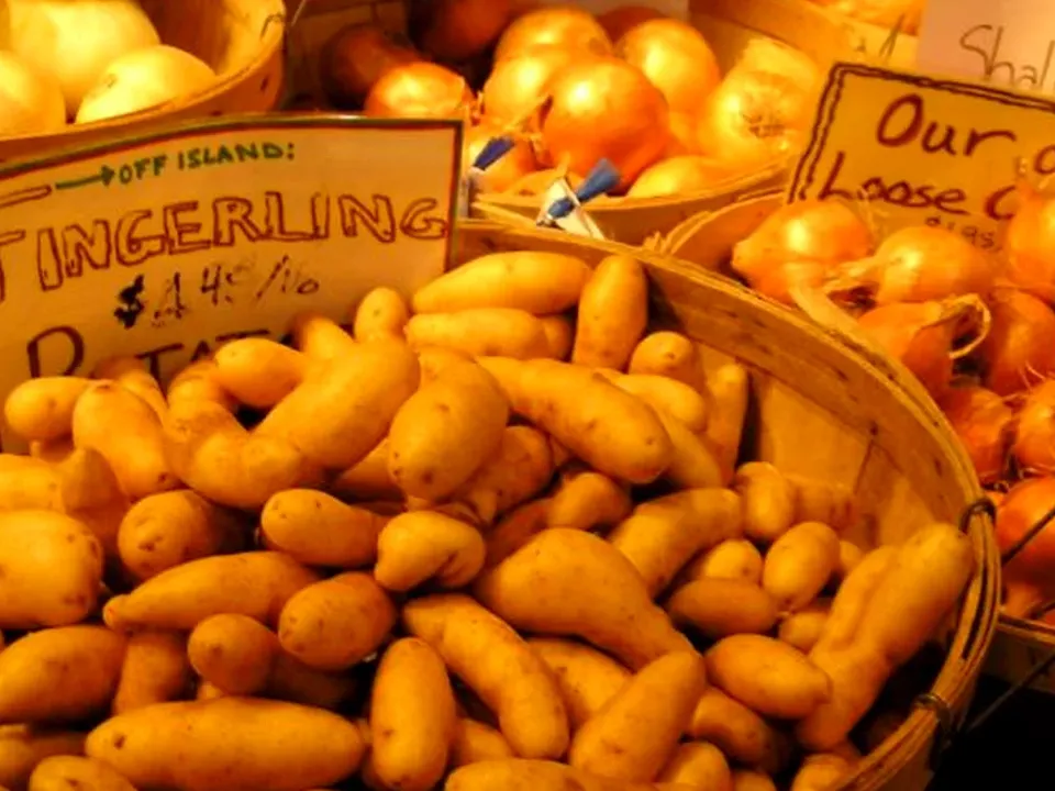 Food Labelling and Product Information Compliance