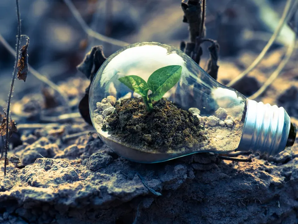 Sustainable Procurement